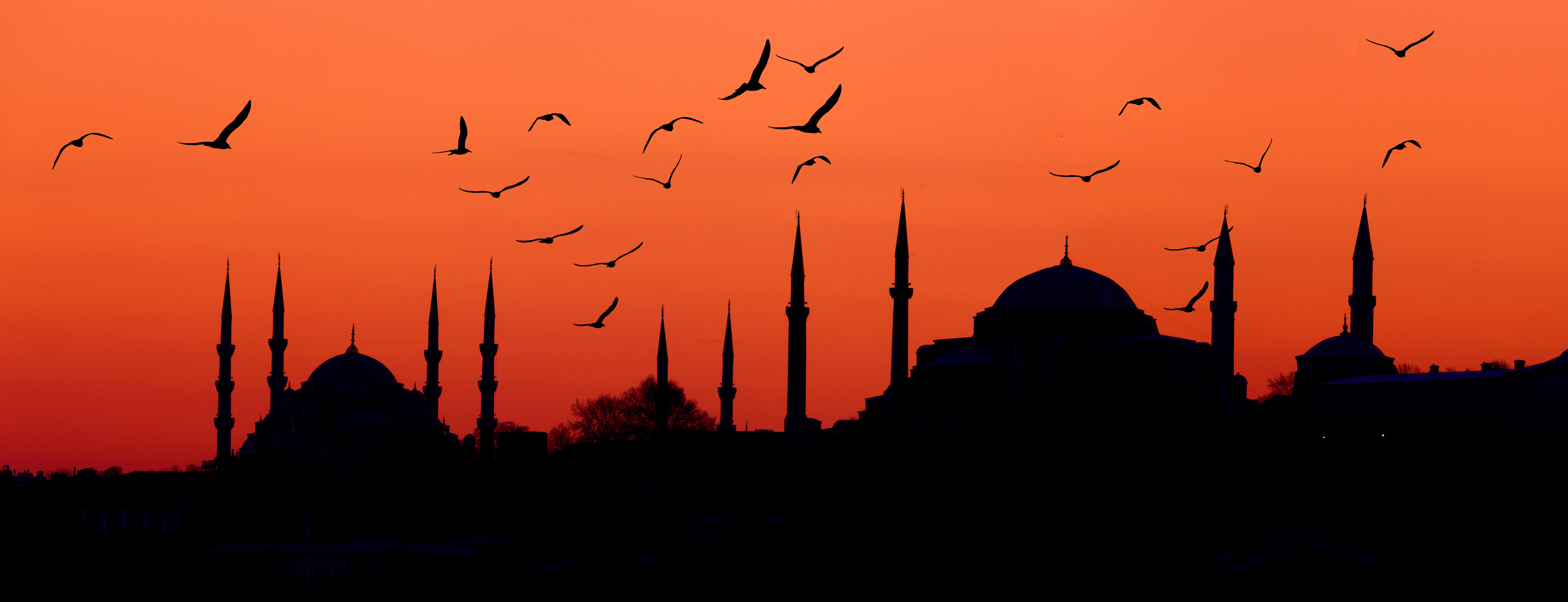 Estambul, ciudad preferida para someterse a un injerto capilar.
