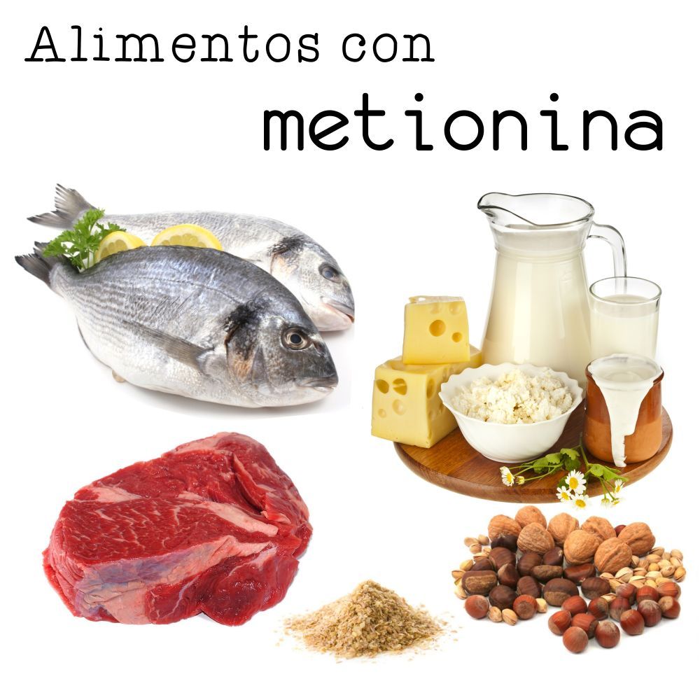 Alimentos ricos en metionina