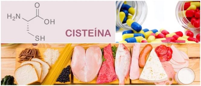 Alimentos ricos en L-Cisteina