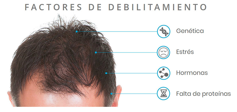 Factores adelgazamiento del cabello